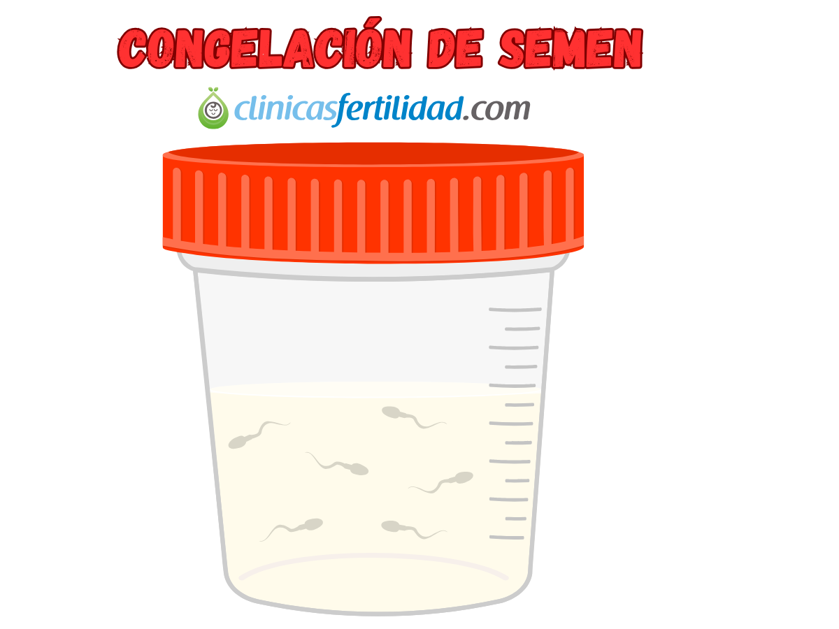 Congelar Semen: Tu Guía Completa para Preservar la Fertilidad Masculina